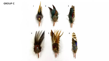 Hat Feathers