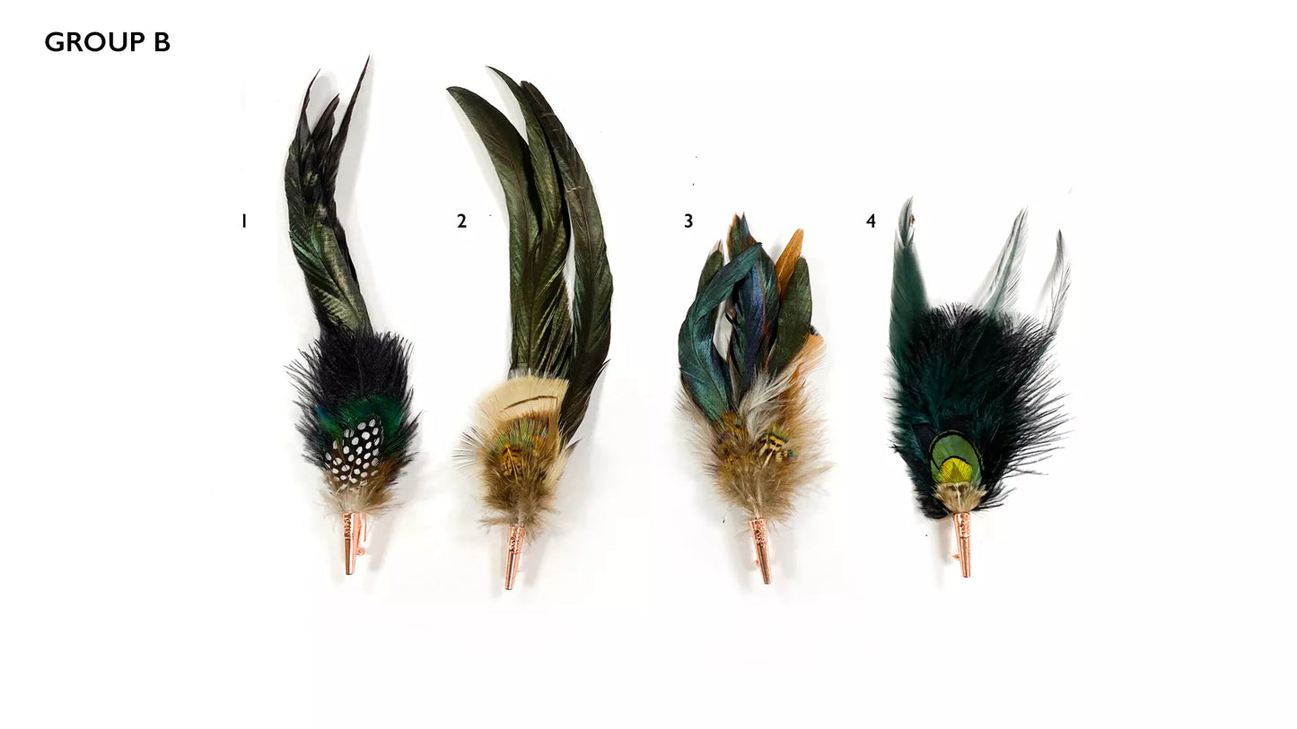 Hat Feathers